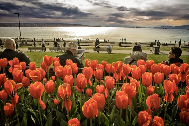 Vancouver Spring Lifestyles Greater Vancouver, British Columbia Canada