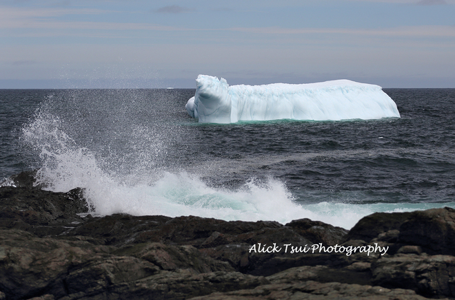 Iceberg Pouch Cove, Newfoundland and Labrador Canada