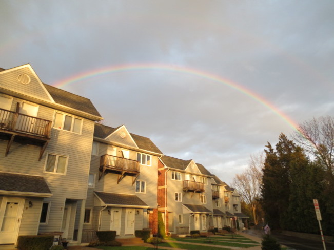 The Rainbow Effect Grand Bend, Ontario Canada