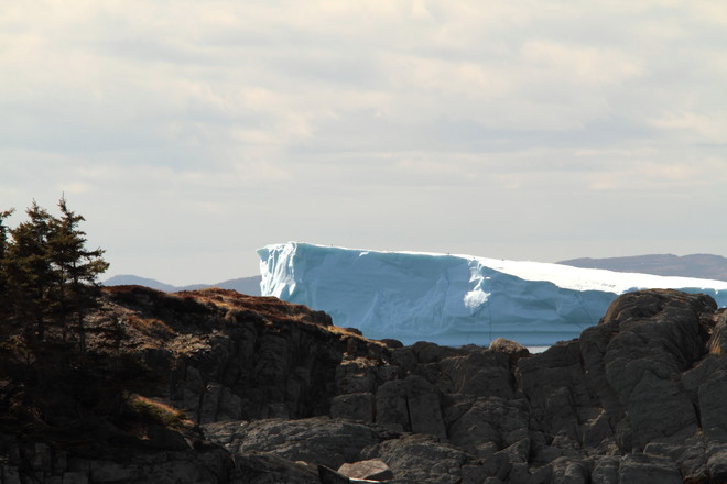 Iceberg in the bay Heart's Desire, Newfoundland and Labrador Canada
