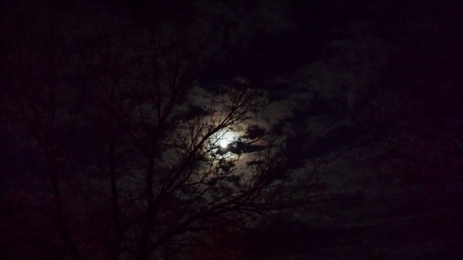 evening moon Melfort, Saskatchewan Canada