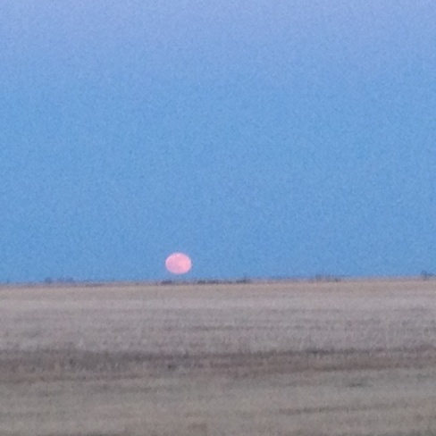 red moon over field Minto, Manitoba Canada