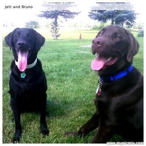 Bruno and Jett Milton, Ontario Canada