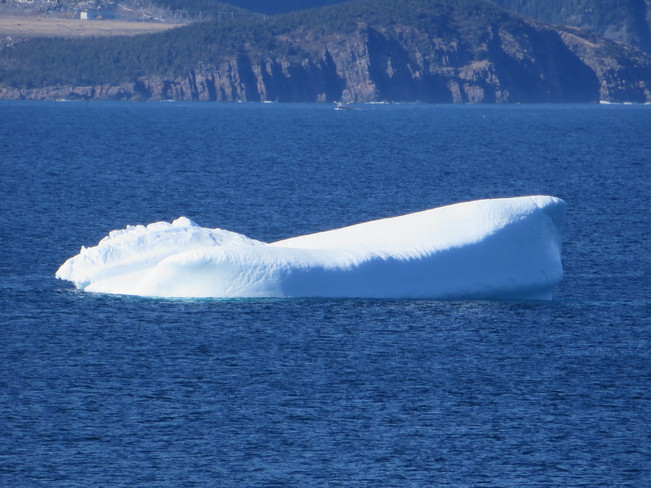 An iceberg off Blackhead St. John's, Newfoundland and Labrador Canada