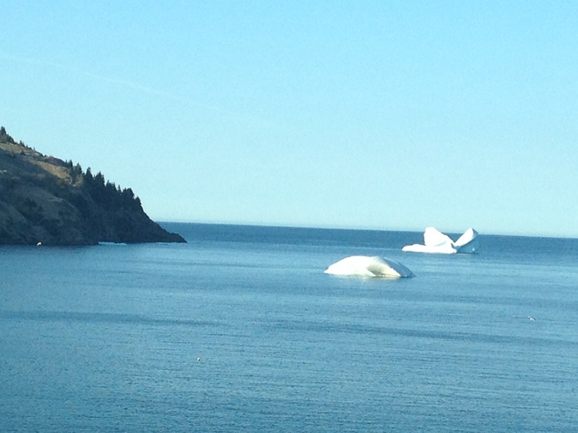 Icebergs in Torbay Torbay, Newfoundland and Labrador Canada