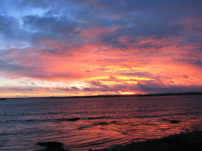 the evening sky Maces Bay