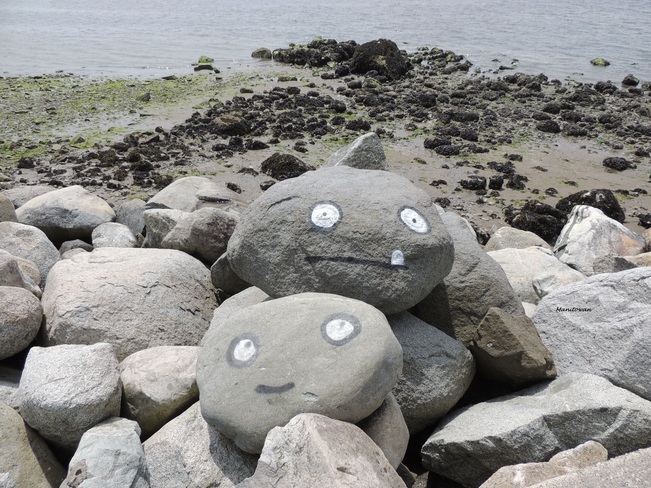 Happy Rocks! Vancouver, BC
