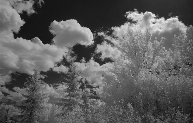 Clouds and Trees Lethbridge Alberta