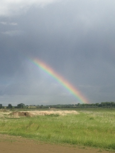 rainbow Brooks, Alberta Canada