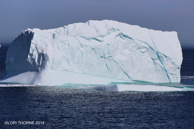 iceberg watching on fathers day 2014 St. John's, NL