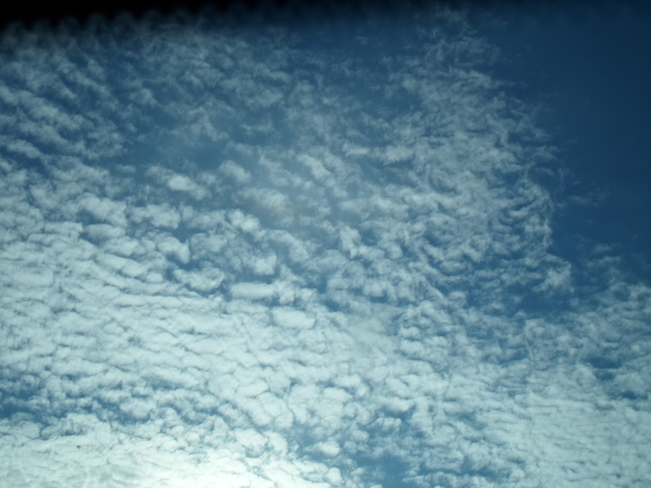 White Scalloped Clouds/Blue Sky/E.L. Elliot Lake, Ontario Canada