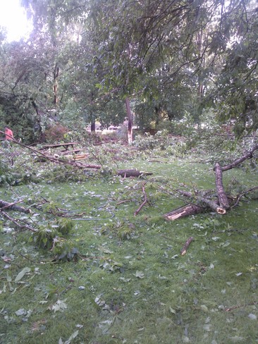 Tornado maybe? River Drive Park, East Gwillimbury, ON