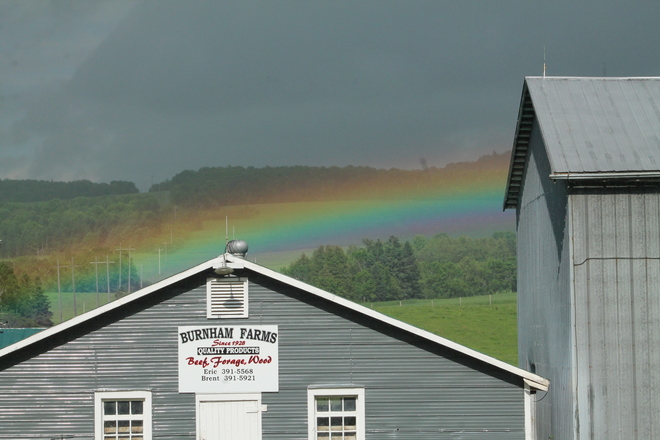 Ground level rainbow Florenceville-Bristol, NB