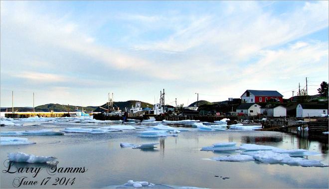 "Drift Ice In Miles Cove" Miles Cove, NL