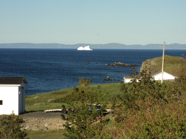 Iceberg in Freshwater CB, NL Carbonear, NL