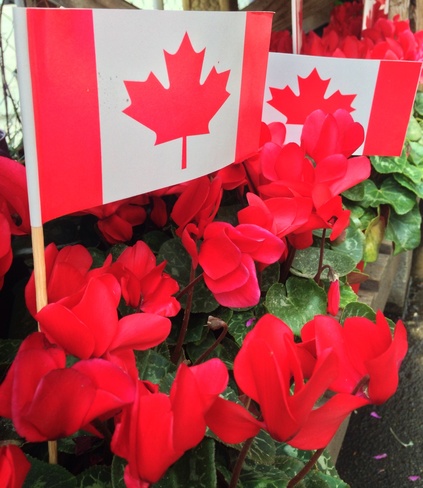 Getting ready for Canada Day Vancouver, British Columbia Canada