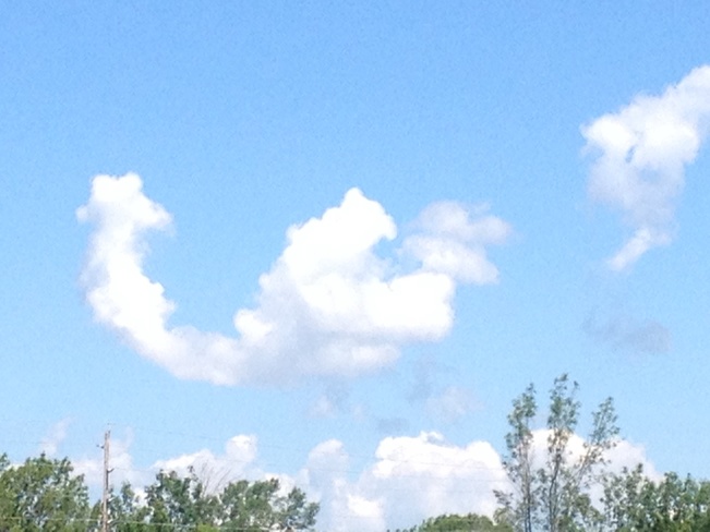 fish cloud Carrying Place, Ontario Canada