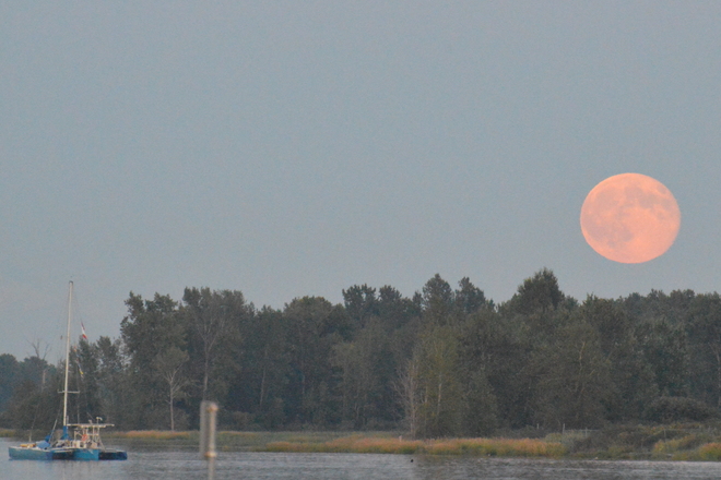 Super Moon Rising Richmond, BC