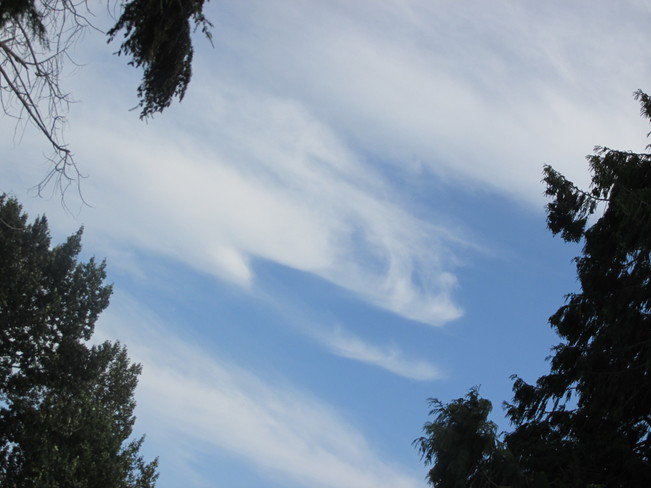 cloud shadows Surrey, BC