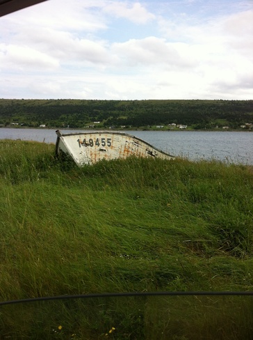 out for a drive Harbour Grace, Newfoundland and Labrador Canada