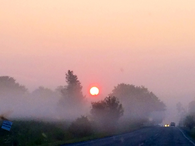 sunrise Monroe, Michigan United States