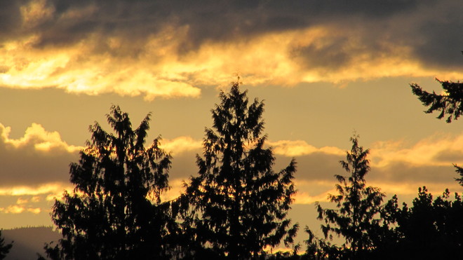 Lovely sunset Courtenay, BC
