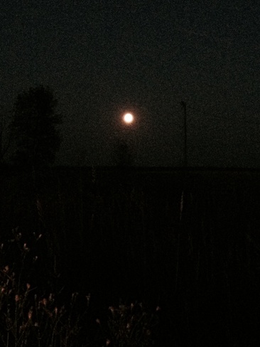 Beautiful Country Evening Moon Ebb and Flow, Manitoba Canada