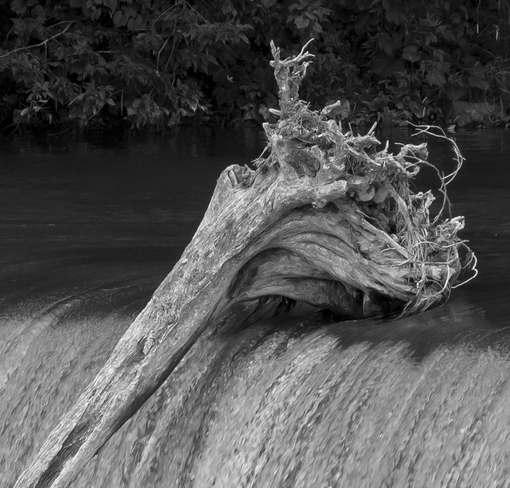 Driftwood at the Falls Paris, Brant, ON