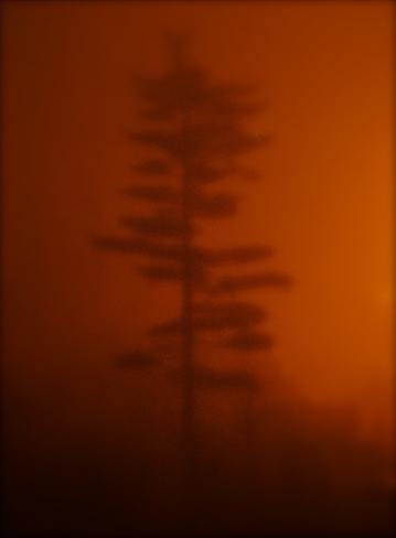 foggy night in Halifax N.S. Halifax, NS