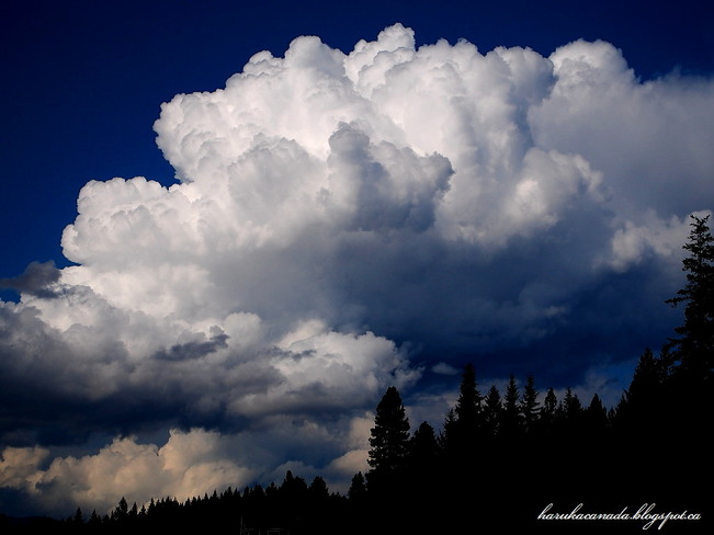 Summer cloud Enderby, BC