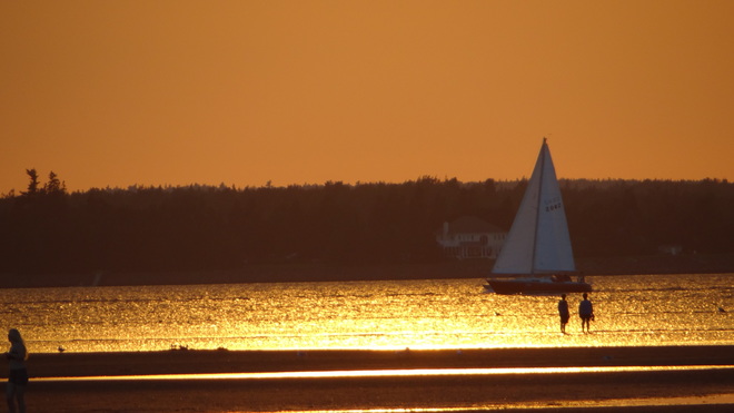 sail boat in sunset Saint John, NB