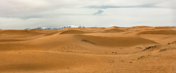 Dunes to the Mountains