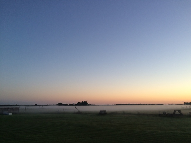 Foggy Morning Martensville, SK