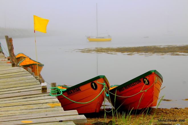 Really Foggy Day! Cape Sable Island, Barrington, NS