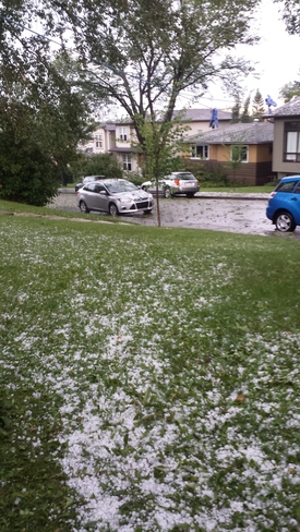 big hail in cowtown Calgary, AB T2M 2N9