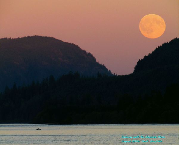 Moonlight Fishing Caycuse, BC