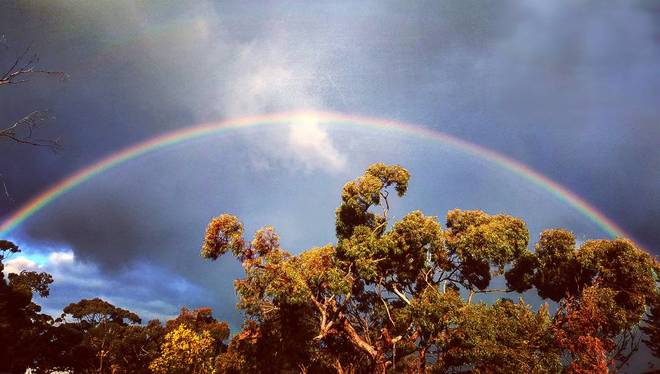 Aussie Bush Rainbow Gawler-One Tree Hill Rd, Gawler South, SA, 5118, Australia