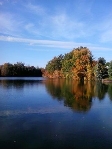 reflections of fall Tillsonburg, ON