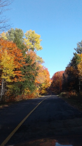 Magnificent fall drive. Atherley, ON