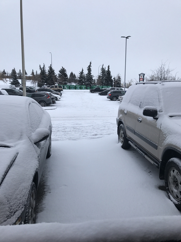Parking lot at work Calgary, Alberta, CA