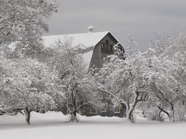 Freshly Fallen Snow 1787-1797 Shediac Rd, Lakeville, NB E1H 1A1, Canada