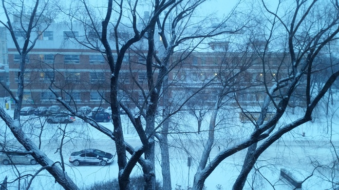 Winter on Campus Winnipeg, MB