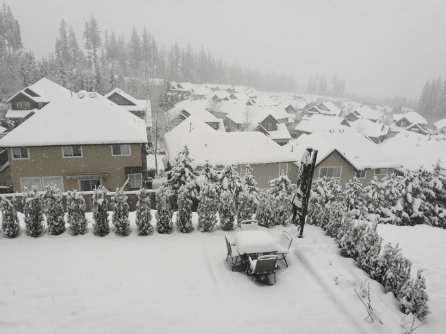 let it snow Port Moody, BC