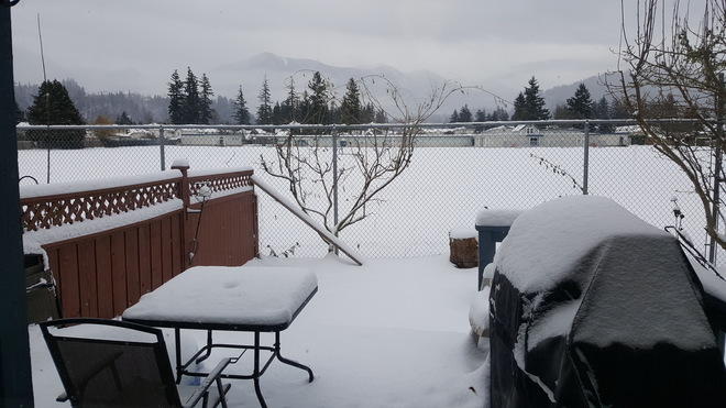 Snow Day Chilliwack, BC