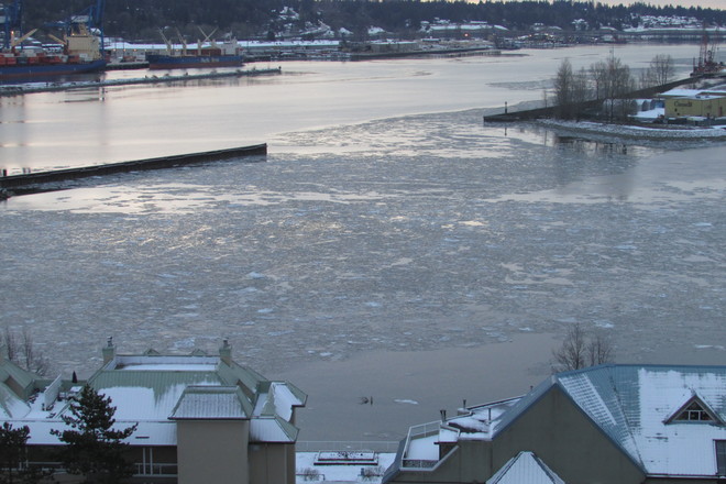 Ice on the Fraser River Quayside Drive, New Westminster, B.C.