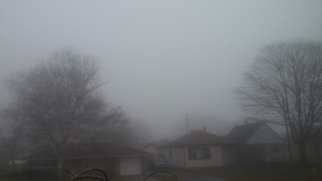 Foggy Day Windsor, ON