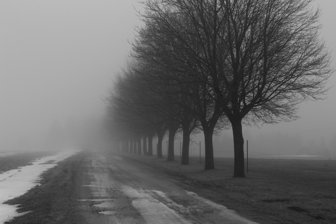foggy day New Tecumseth, ON