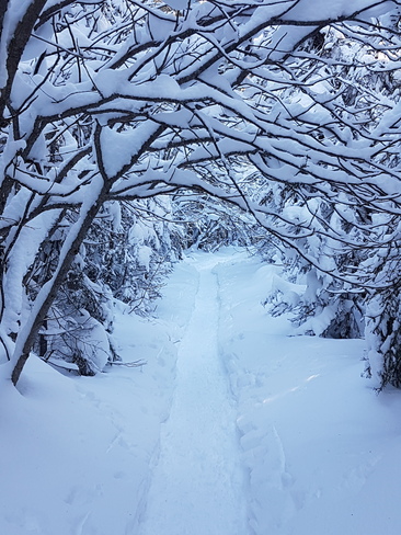 Mon sentier de neige Baie-Comeau, QC