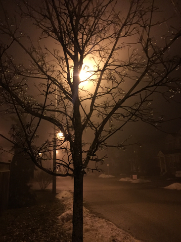 Another foggy evening Cambridge, Ontario, CA