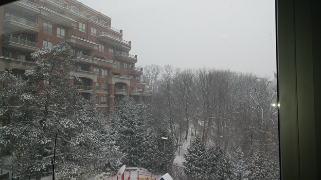 snow day Toronto, ON